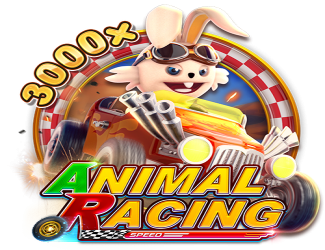 Animal Racing